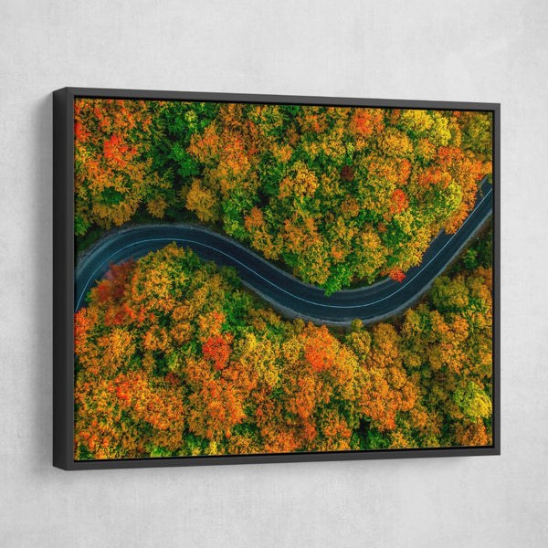 Road in Autumn wall art black frame