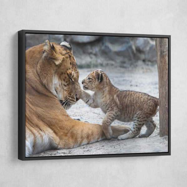 Lion and Cub wall art black frame
