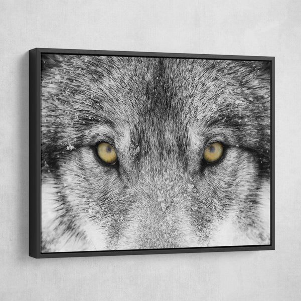 Timber Wolf wall art
