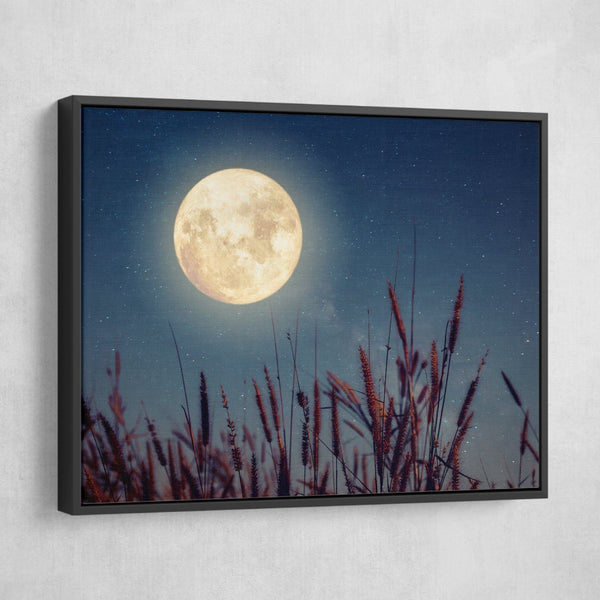 Flowers and moonlight wall art black frame