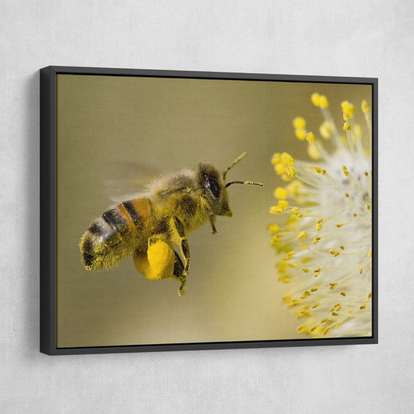 Flower Bee wall art black frame