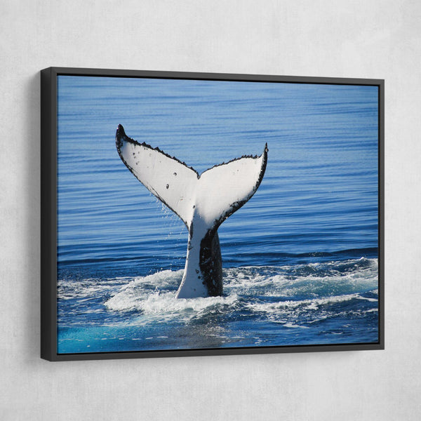 Humpback Whale art