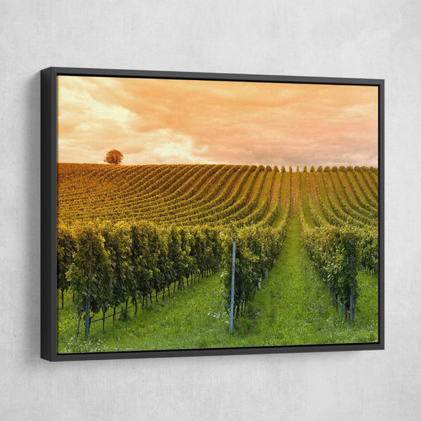 wine farm wall art