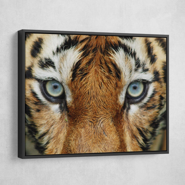 Tiger Eyes wall art floating frame