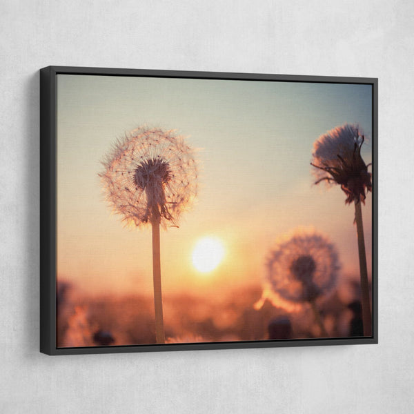 Dandelions at Sunset wall art black frame