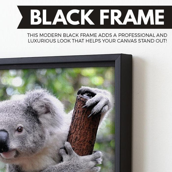 Curious Koala wall art black frame