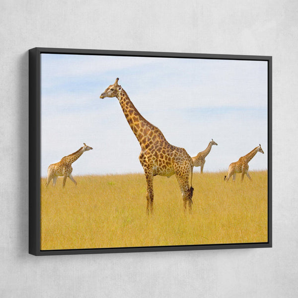 3 Giraffes in the Jungle floating frame wall art