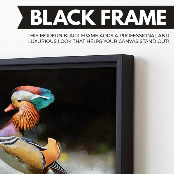 Mandarin Duck wall art black floating frame