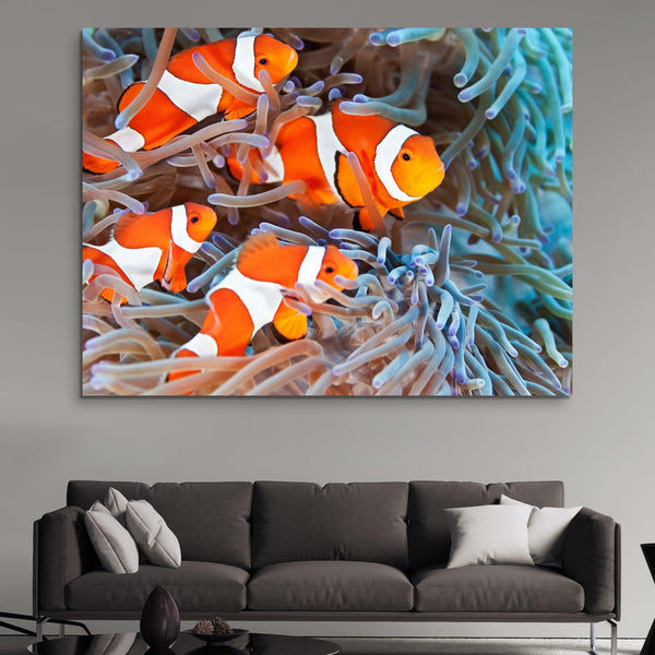 Clownfish wall art