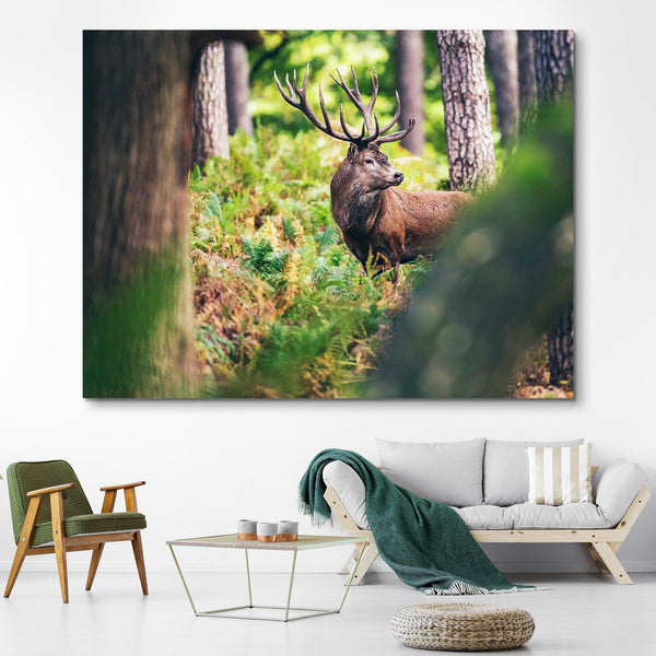 Red Deer in Autumn Forest wall art