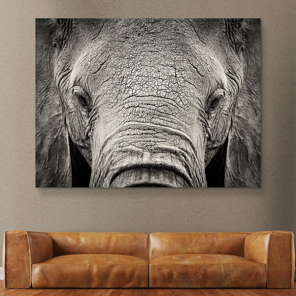 African Elephant wall art