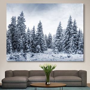 Winter Canvas Print wall art