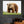 Load image into Gallery viewer, Brown Bear wall art
