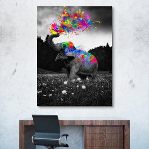 Mickael Riguard - Elephant splashing colors wall art