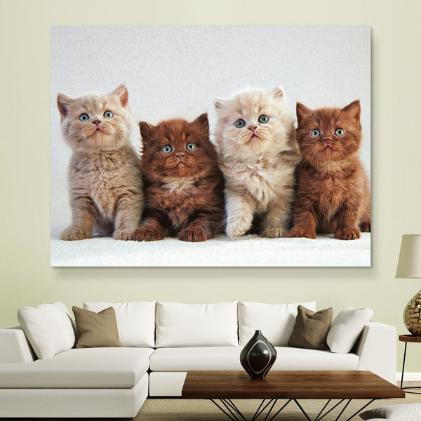 Four Kittens wall art