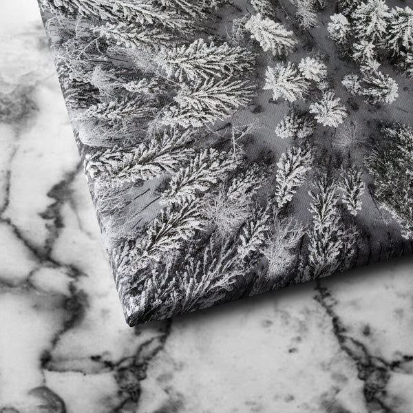 Snowy Pine Tops canvas art