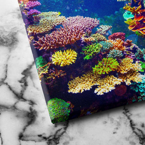 Coral Reef canvas art
