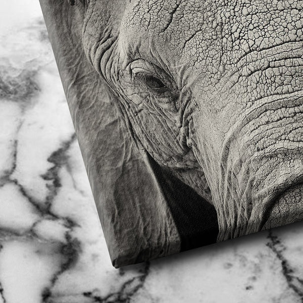 African Elephant canvas art