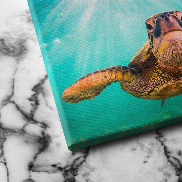 Sea Turtle canvas art