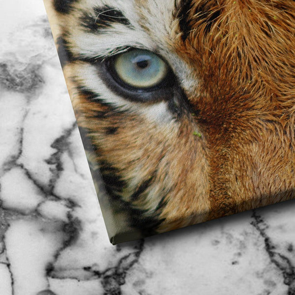 Tiger Eyes canvas art
