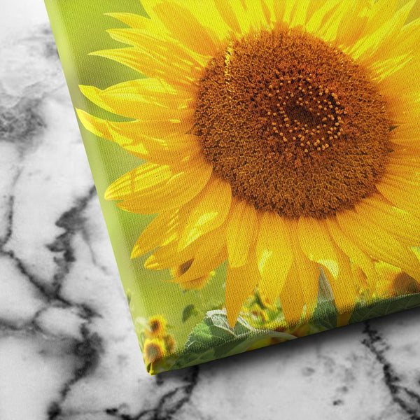 Sunflower canvas art