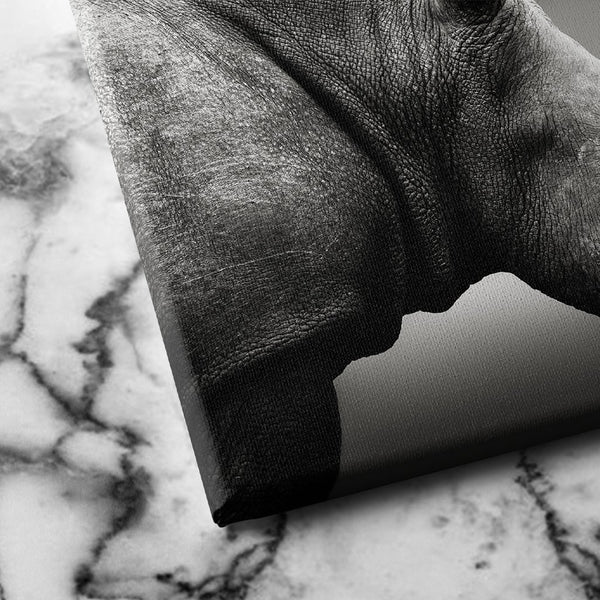 Rhinoceros Monochrome canvas art