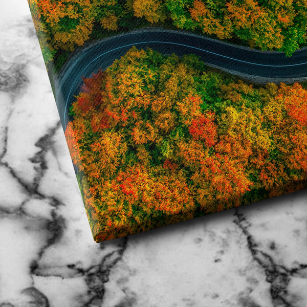 Road in Autumn canvas art